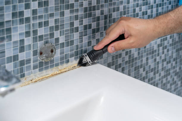Best Fast Mold Removal  in Clinton, MS