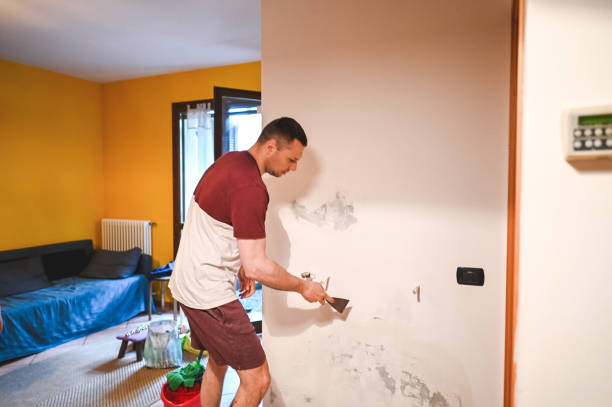 Best Affordable Mold Removal  in Clinton, MS