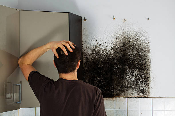 Mold Removal Process in Clinton, MS